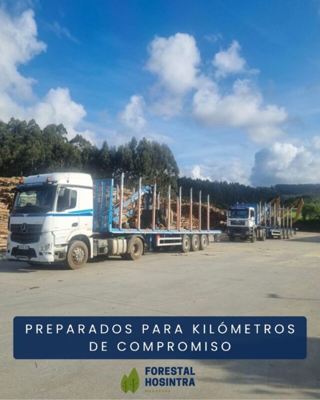🚛🌲 ¡El equipo de Forestal Hosintra no para! 💪

Dos de nuestros camiones listos para seguir llevando trabajo, esfuerzo y compromiso allá donde haga falta 🌍✨

Detrás de cada ruta hay muchas horas de dedicación, pasión por lo que hacemos y un gran equipo que lo hace posible 🙌🔥

¡Seguimos avanzando juntos, kilómetro a kilómetro! 🚚💨🌲

#ForestalHosintra #TransporteForestal #Camiones #TrabajoEnEquipo #SectorForestal #PasiónPorElTrabajo #RutaDiaria