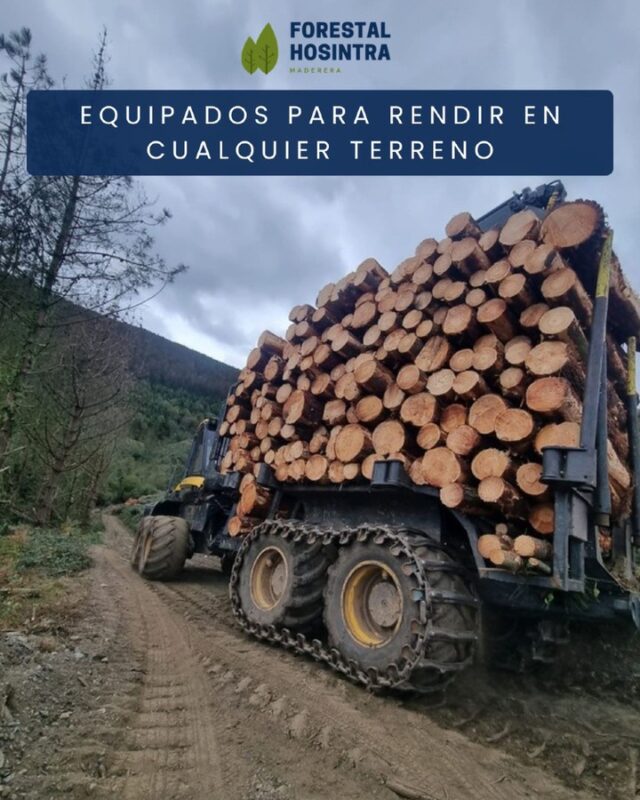 🚜🌲 En el sector forestal, no todos los terrenos ponen las cosas fáciles. Barro, pendientes, zonas húmedas o superficies irregulares forman parte de nuestro día a día. Por eso, en Forestal Hosintra contamos con maquinaria preparada para rendir en cualquier condición 💪. Algunas de las ventajas de los tracks son: 

🔸 Mejoran la tracción.
🔸 Aumentan la estabilidad de la máquina.
🔸 Facilitan el trabajo en terrenos difíciles.
🔸 Reducen el riesgo de deslizamientos.

En trabajos forestales exigentes, contar con el equipamiento adecuado es clave para trabajar de forma eficiente y segura. 💪🌲

#ForestalHosintra #Forwarder #Tracks #Forestal #Bosque #MaquinariaPesada #LoggingLife 🌿
