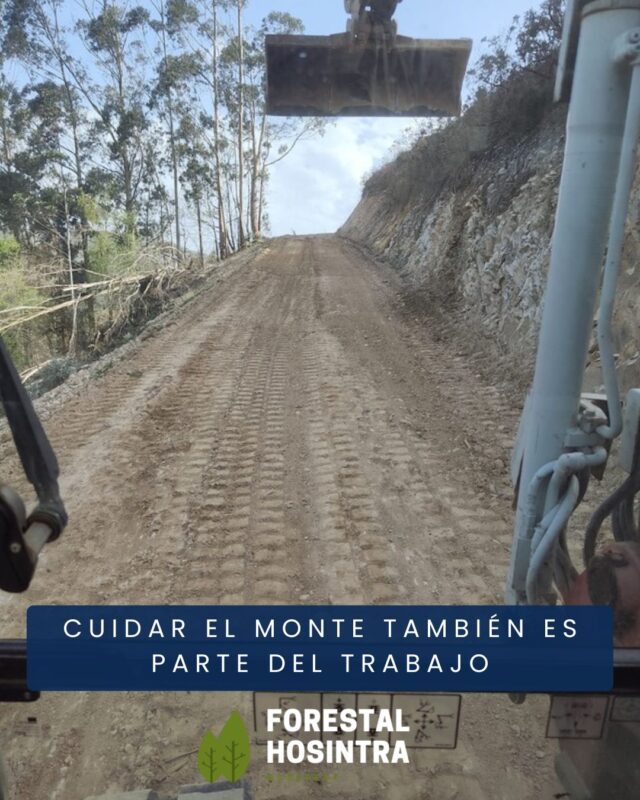 🌿🛤️ Resultado final 👇

Caminos completamente acondicionados tras la saca de madera 🚜🌲
Un proceso fundamental para dejar el terreno en buen estado y asegurar que los accesos queden como deben 👍

Porque cuando se hacen bien las cosas, se demuestra que la saca de madera no tiene por qué generar destrozos. Todo depende de cómo se trabaje 💚💪

En estas imágenes se ve el resultado de un trabajo cuidado, responsable y bien ejecutado 👷‍♂️✨Damos por finalizados los trabajos con satisfacción y el deber cumplido 🌳

#ForestalHosintra #TrabajoBienHecho #SacaDeMadera #CuidadoDelMonte 🌿