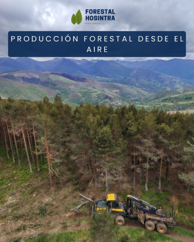 Nos encanta poder compartir un pequeño trocito de nuestro día a día y enseñar la pasión con la que vivimos este sector 🌳🚁

Seguimos disfrutando de lo que hacemos, afrontando nuevos retos y dando siempre lo mejor de nosotros en cada jornada 🚜✨
Porque detrás de cada proyecto hay planificación, dedicación y muchas horas de trabajo para seguir creciendo y mejorando día a día 🙌🌲

#ForestalHosintra #SectorForestal #Monte #TrabajoDiario #Naturaleza #Compromiso #Forestal 🚜🌲