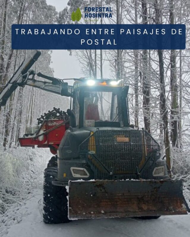 Entre nieve, frío y paisajes de postal ❄️🌲✨
Así ha estado nuestra empacadora estos días, sacando adelante la faena como solo se hace en el monte 🚜💪
No es fácil trabajar en estas condiciones, pero cada jornada deja historias, esfuerzo y resultados que nos llenan de orgullo 😄
En Forestal Hosintra seguimos sumando trabajo, constancia y pasión por lo que hacemos, incluso cuando el invierno aprieta ❄️🌲

#ForestalHosintra #TrabajoForestal #InviernoEnElMonte #Nieve #MaquinariaForestal #PasiónPorElMonte #JornadasDeTrabajo #Seguimos